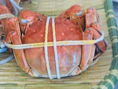 -蟹天蟹地农家菜·阳澄湖大闸蟹(浅水湾店)