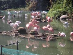 -宁波野生动物园