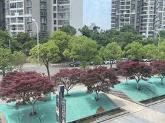-大拙里·精致融合菜(沙湖桃源国际店)