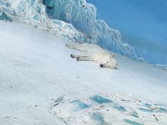 -好旺角齐市鲜切牛自助烤肉(农林五道街总店)