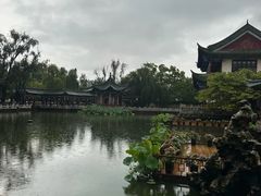 -MAP CHA普洱茶馆(翠湖店)