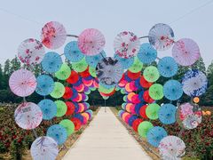 -上海长兴岛郊野公园