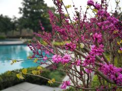 -宁波九龙湖开元度假村