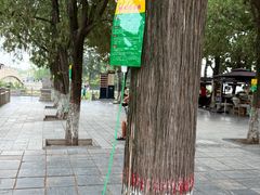 -赵州桥景区
