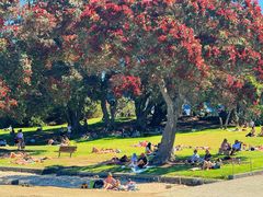-Takapuna Beach Cafe