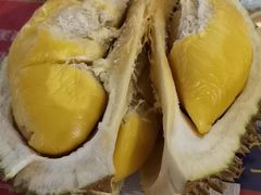 -都念榴莲·城市榴莲