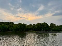-上海鲜花港