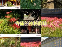 -西安大兴善寺