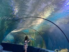 -梦幻海洋王国(吾悦广场张家港店)