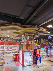 -卡通尼·Safari非洲探索乐园·生日会(金桥国际商业广场店)