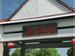 -上海都市菜园