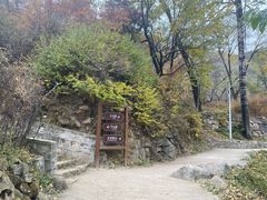 -大岭沟猕猴桃谷风景区