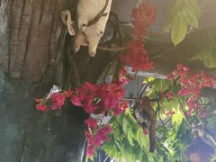 -草原塞蛮羊火锅城(港湾店)