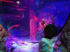 -沈阳海洋探索中心