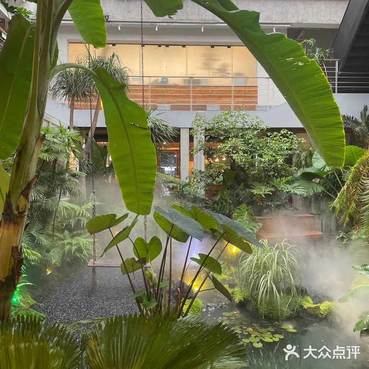 厦门植物氧吧|华美空间藏着一处热带雨林下午茶