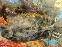 -聚福宝合苑食府(南头镇店)