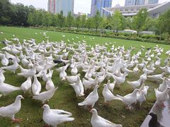 -上海博物馆(人民广场馆)