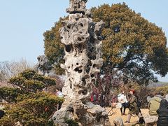 -无锡梅园公园