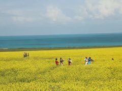 -青海湖国家重点风景名胜区