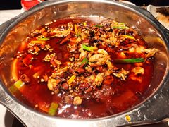 -宽口美蛙鱼头(大唐西市店)