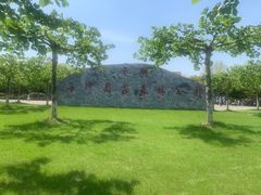 -上海海湾国家森林公园