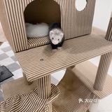 深圳首家｜遇见萌宠体验馆🐰