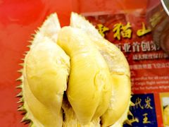 -都念榴莲·城市榴莲