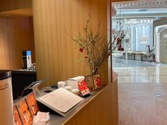 -代数学家algebraist(苏州中心店)