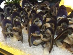西施舌-渔傅·蓝海岸霞浦海鲜(正祥店)