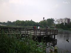 景点-新江湾城公园