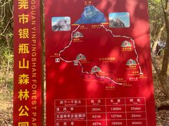 -银瓶嘴森林公园