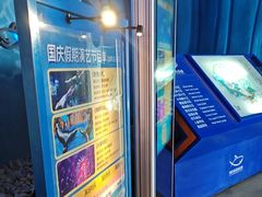 -烟台海昌鲸鲨海洋公园