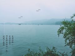 -湖畔居茶楼(湖滨店)
