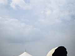 -碧海金沙