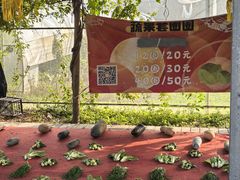 -前小桔亲子创意农场·草莓采摘·露营烧烤