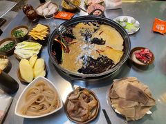 -菜园坝老火锅(金岛店)