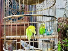 -鱼桥巷·美学川菜