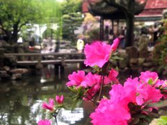 -豫园