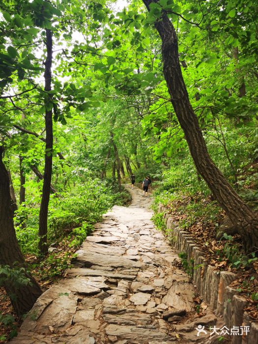 北京上方山国家森林公园图片