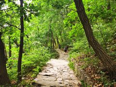 -北京上方山国家森林公园
