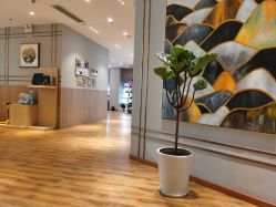 -尤尼可国际影像(万源分店)