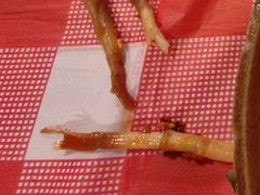 -老方桌烂蹄花川菜馆(九龙坡店)