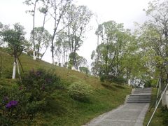 -东莞植物园