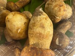 牛肝菌-鲜菌江湖正宗野生菌火锅