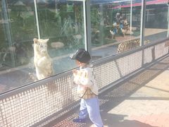 -西霞口神雕山野生动物世界