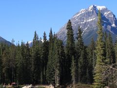 -阿萨巴斯卡瀑布观景点