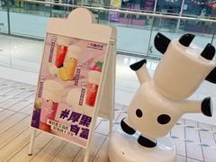-一只酸奶牛(双流万达广场店)