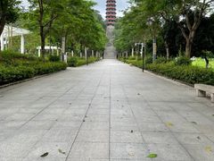 -红花山公园