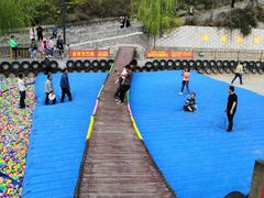 -铜川市金锁关石林