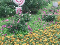 -人民公园(罗湖区)